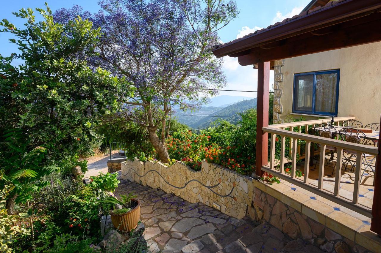 Vila Dream Time Amirim Exteriér fotografie